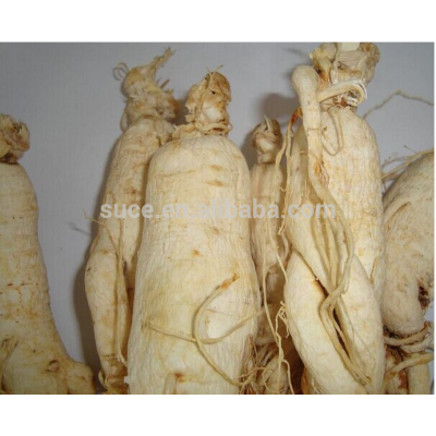 Top quality 100% natural sun dry white panax ginseng root with tail for tonic