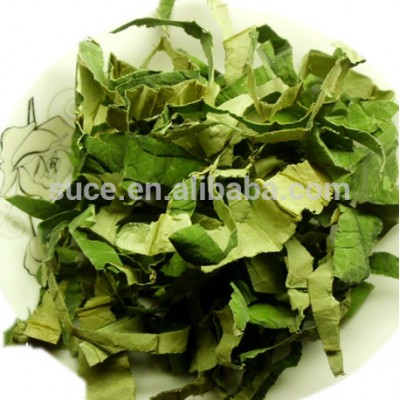 lotus leaf /lotus leaf extract powder/lotus leaf p.e.